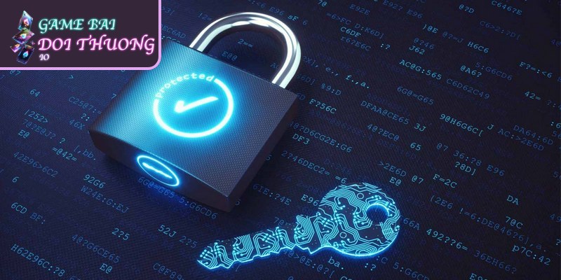 Các quy định về quyền lợi và trách nhiệm của người chơi rất rõ ràng
